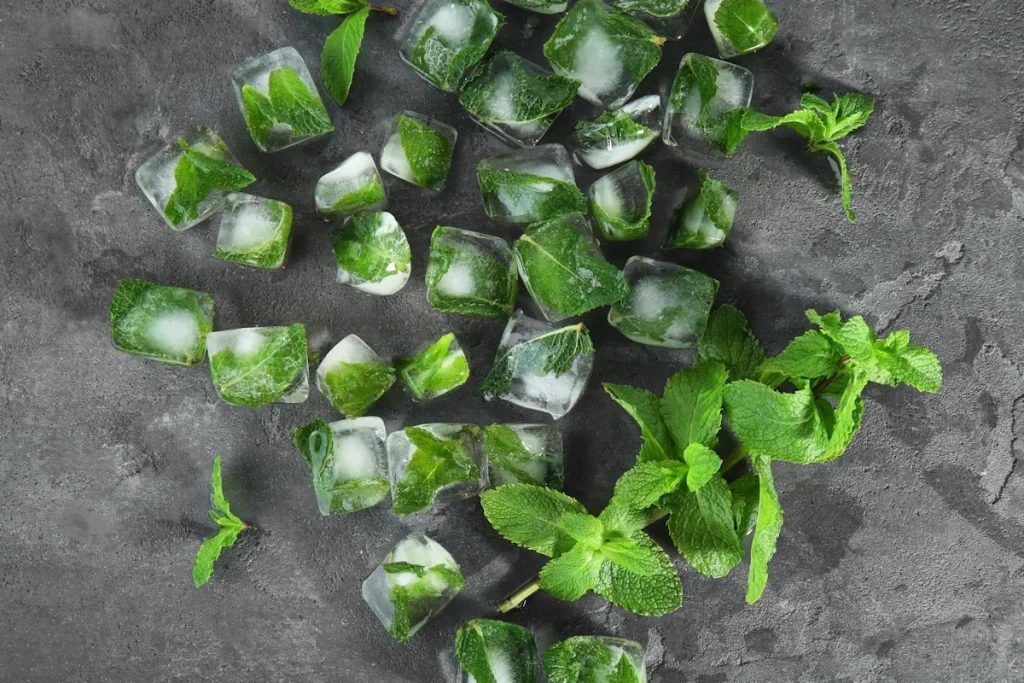 mint ice cubes