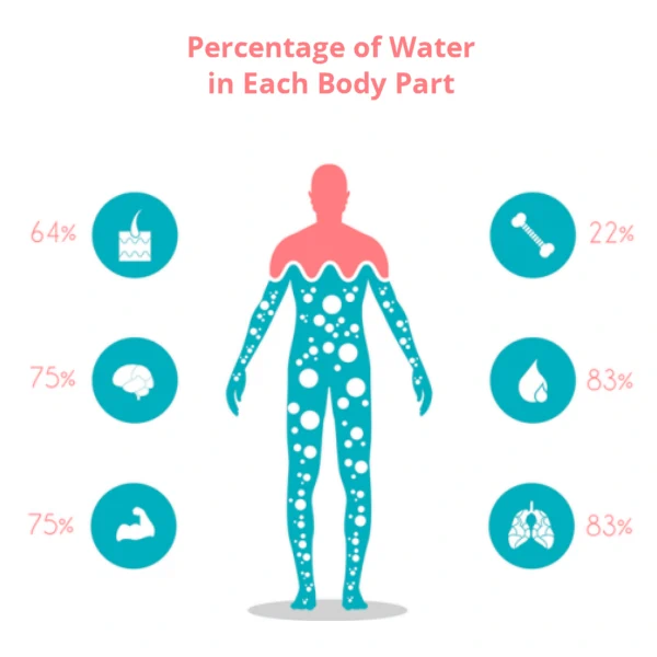 percentage of water in each body part