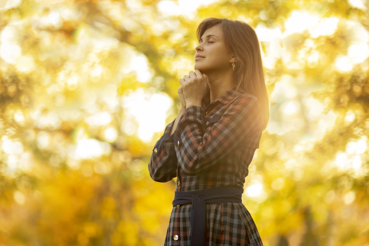 what is the meaning of gratitude